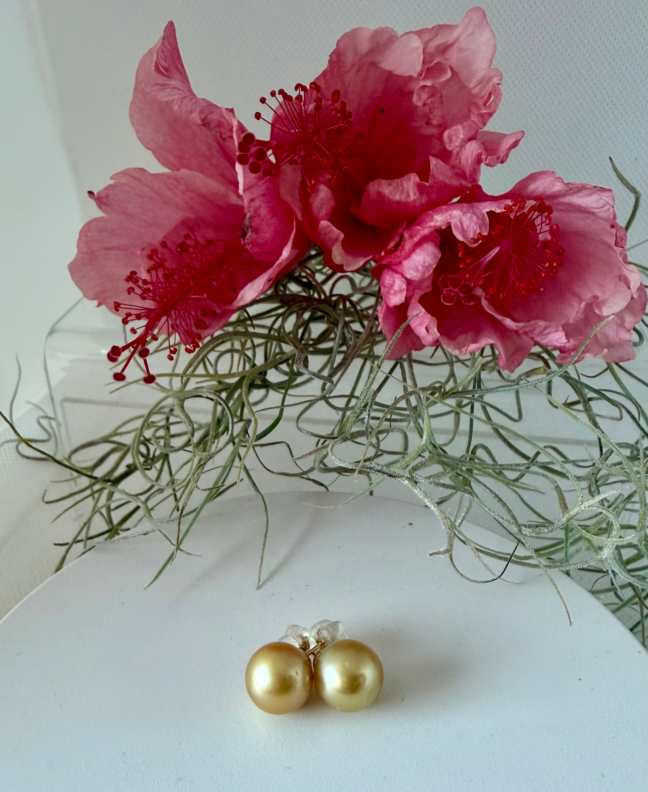 Golden South Sea Pearl Stud Earrings