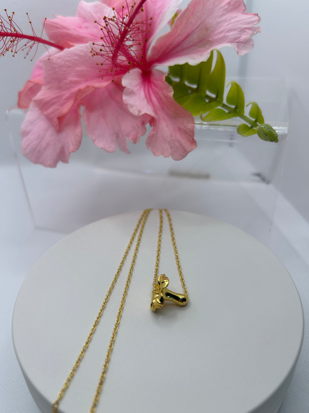 Puakenikeni Necklace