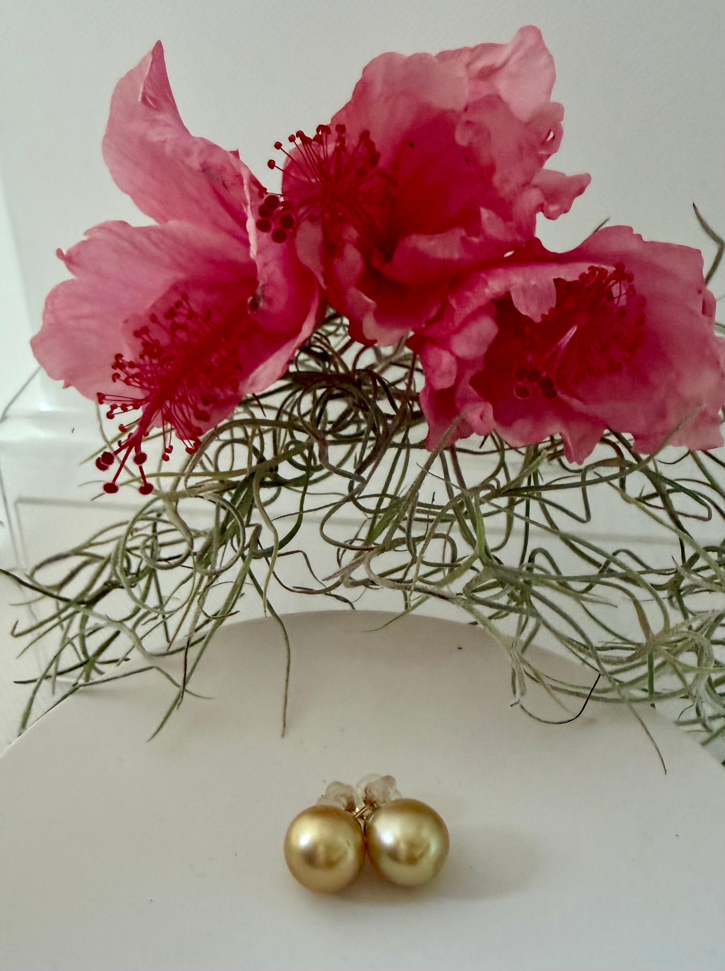 Golden South Sea Pearl Stud Earrings